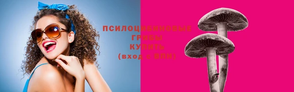 spice Аркадак