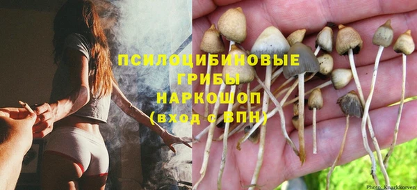 мяу мяу мука Арсеньев