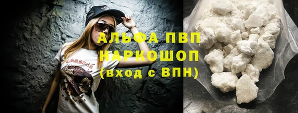 spice Аркадак