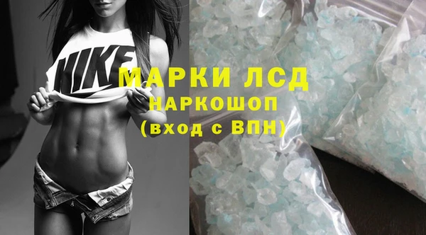 spice Аркадак